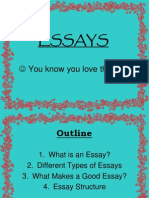 Essays: You Know You Love Them.