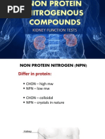 Kidney Function Tests