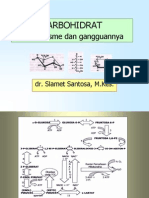 KARBOHIDRAT