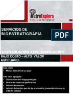 Servicios de Bioestratigrafía 300614