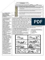 Examen Textos Discontinuos Ojo