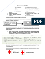 Principales Aspectos de La ORT Resumen