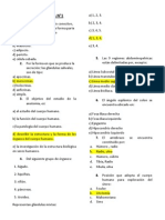 Examen de Anatomia N°1