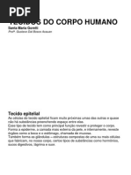 Tecidos Do Corpo Humano - Smg