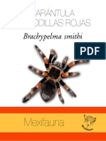 Tarantula BS PDF