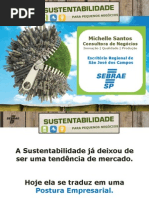 Sustentabilidadeparapequenosnegocios Rev 140420133141 Phpapp02