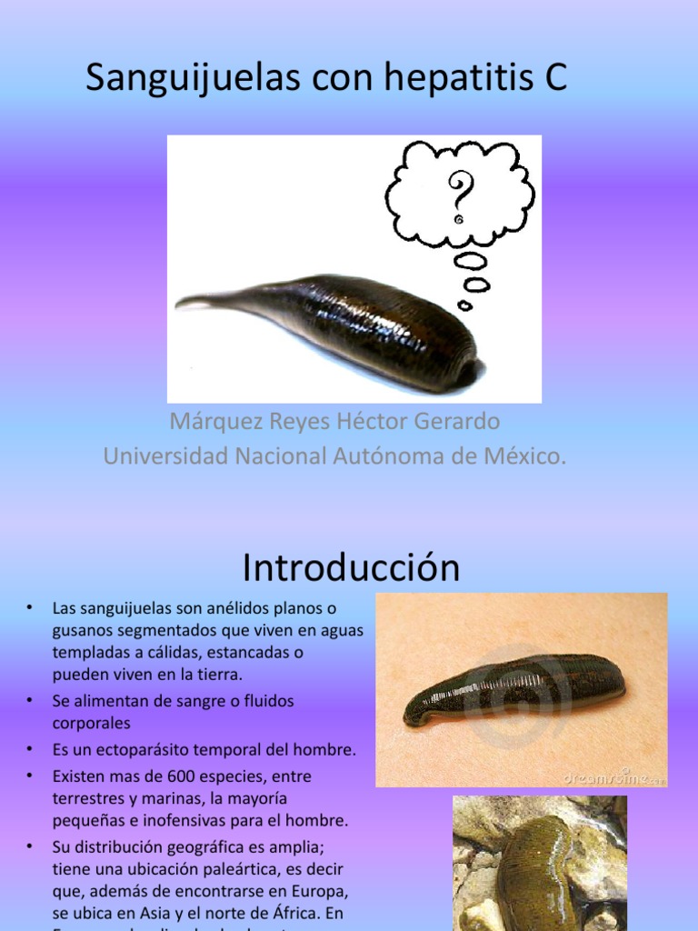 sanguijuelas-usos-y-caracter-sticas-m-dicas-pdf-especialidades