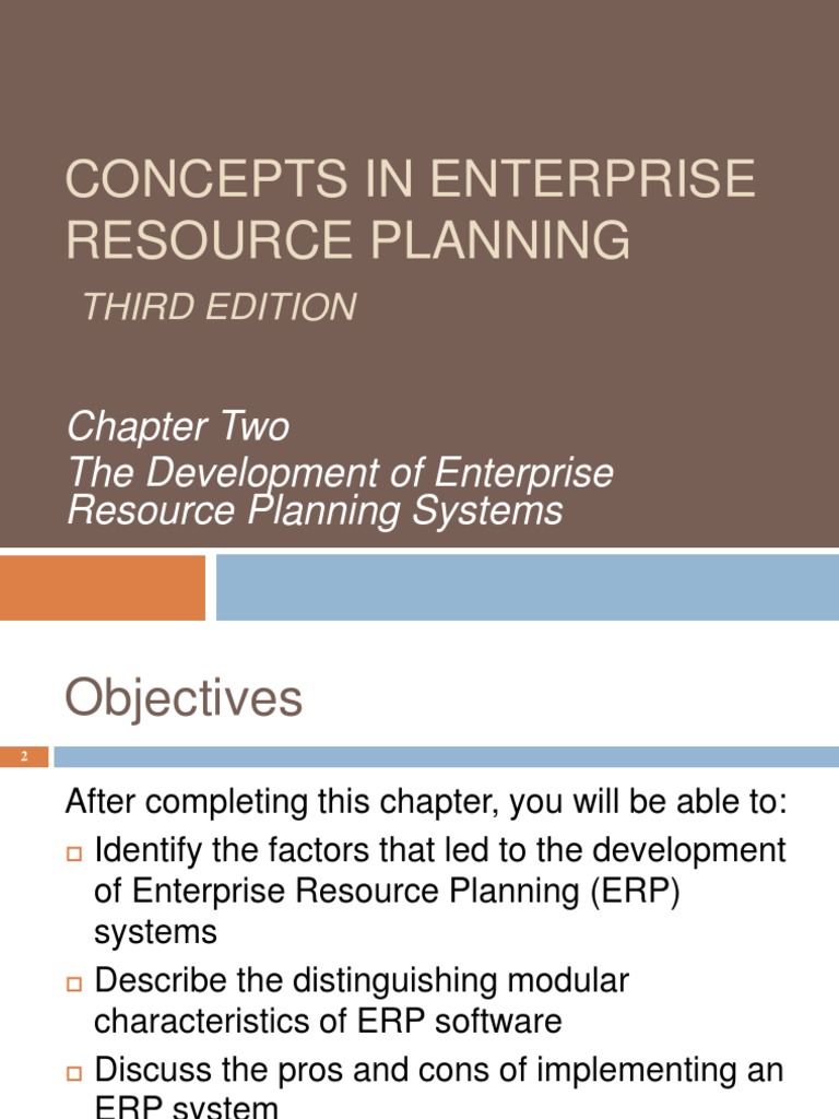 ERP System Development Overview | PDF