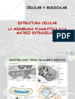 Membrana plasmática maestría IPICYT septiembre 2013.pdf