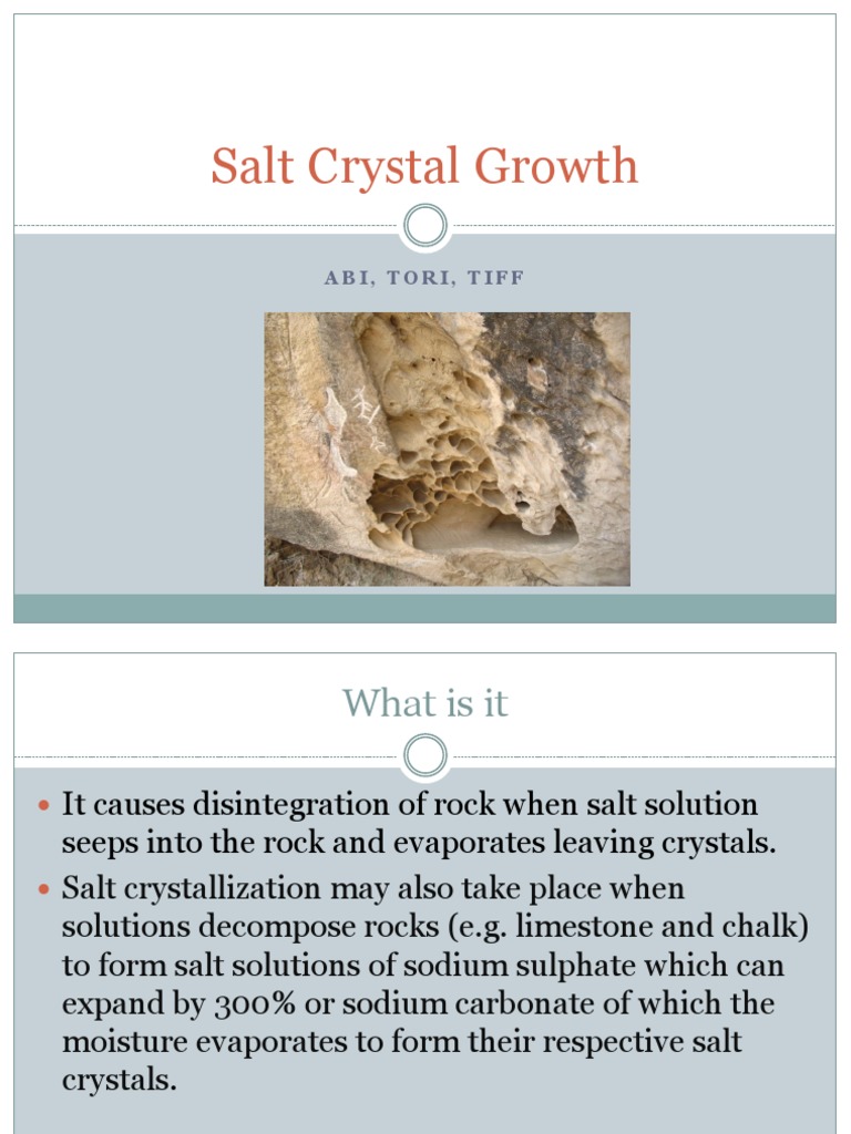 What are the processes of coastal weathering? - Internet Geography, image size:768x1024
