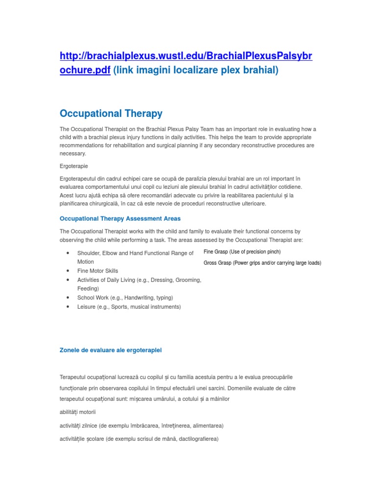 Plex Brahial | PDF