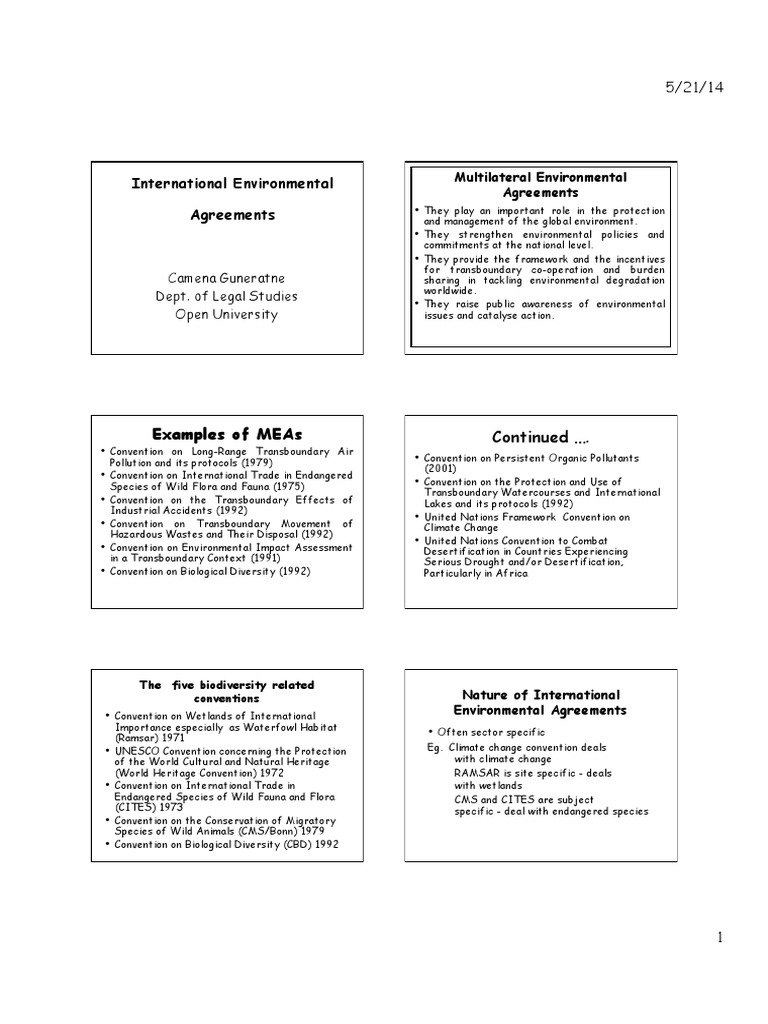 Overview of International Environmental Agreements | PDF | Wetland | Cites