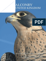 Falconry Sau Soimarit in UK