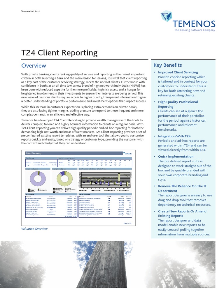 Temenos T24 PW Client Reporting | PDF | Business | Economies