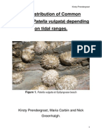 The Distribution of Common Limpets