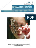 Sistemas Sensoriales