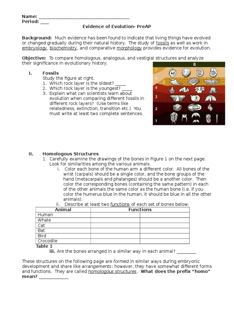 Evidence Of Evolution Worksheet Murch 2013 2 Evolutionary Biology Biology