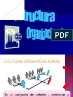 Estructura Organizacional