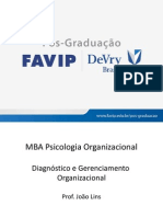 Aula 16.8.2014 Psicologia Organizacional