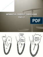 Aparatul Cardio-Vascular Curs 2