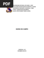 Diario de Campo