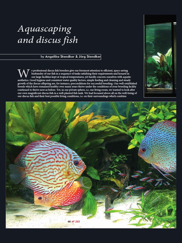 Aquascaping Guide for Discus Fish Care | PDF | Aquarium | Animals Kept ...