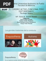 El Cerebro Activo, Funcional Pero Distorsionado