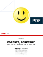 Forests, Forestry and The Biophysical System