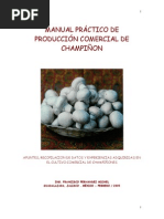 Manual de Champinons