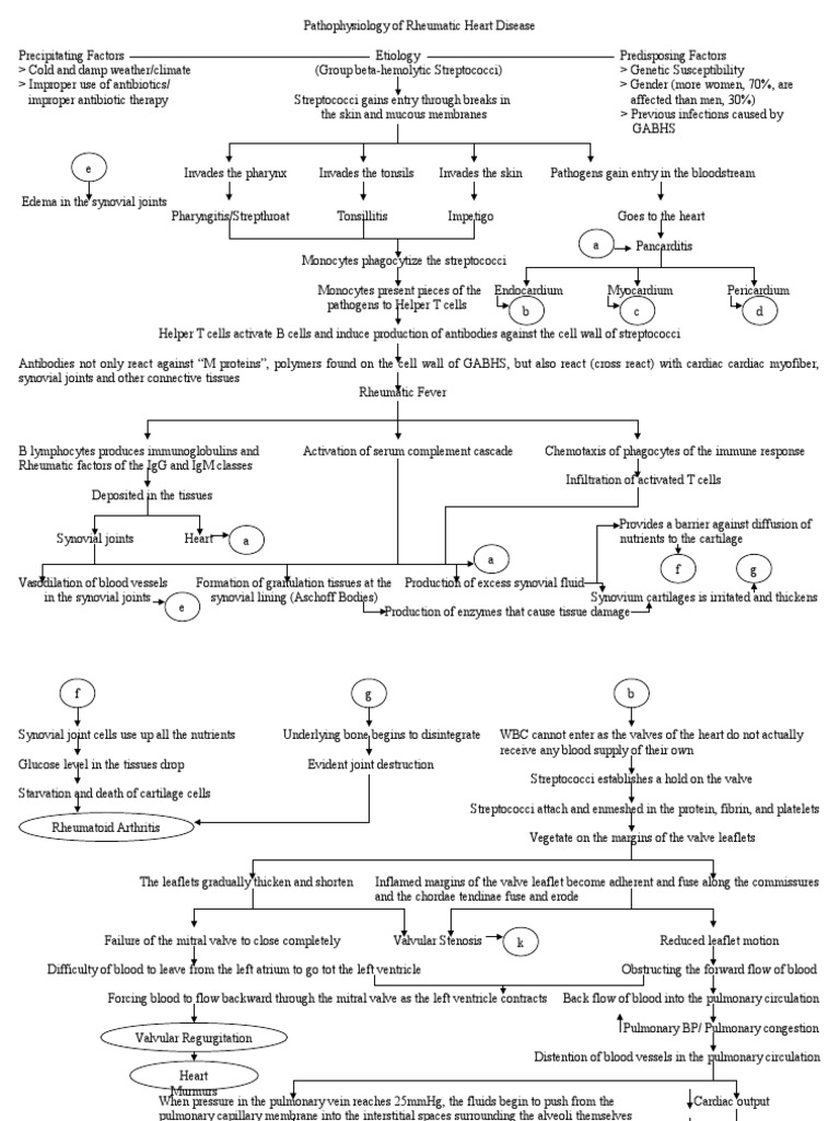 RHD Pathophysiology Flow Chart | PDF | Heart | Circulatory System