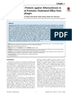 Chlorogenic Acid Protects Against Atherosclerosis in Apoe Mice and Promotes Cholesterol Efflux From Raw264.7 Macrophages