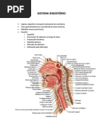 Sistema Digestório