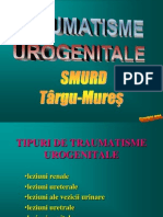 j Traumatisme Urogenitale