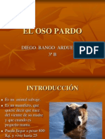 OSO PARDO