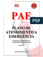 pae v.8  01-03-11