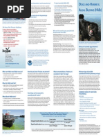 Download Algal Blooms Brochure by glenncoin SN239535034 doc pdf