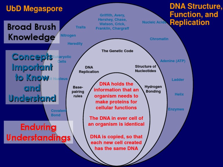 Ubd Example | PDF | Science & Mathematics
