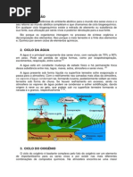 Ciclos Biogoquímicos