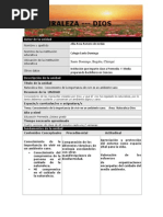 plantilla plan unidad