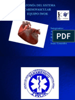 Anatomia Cardiovascular