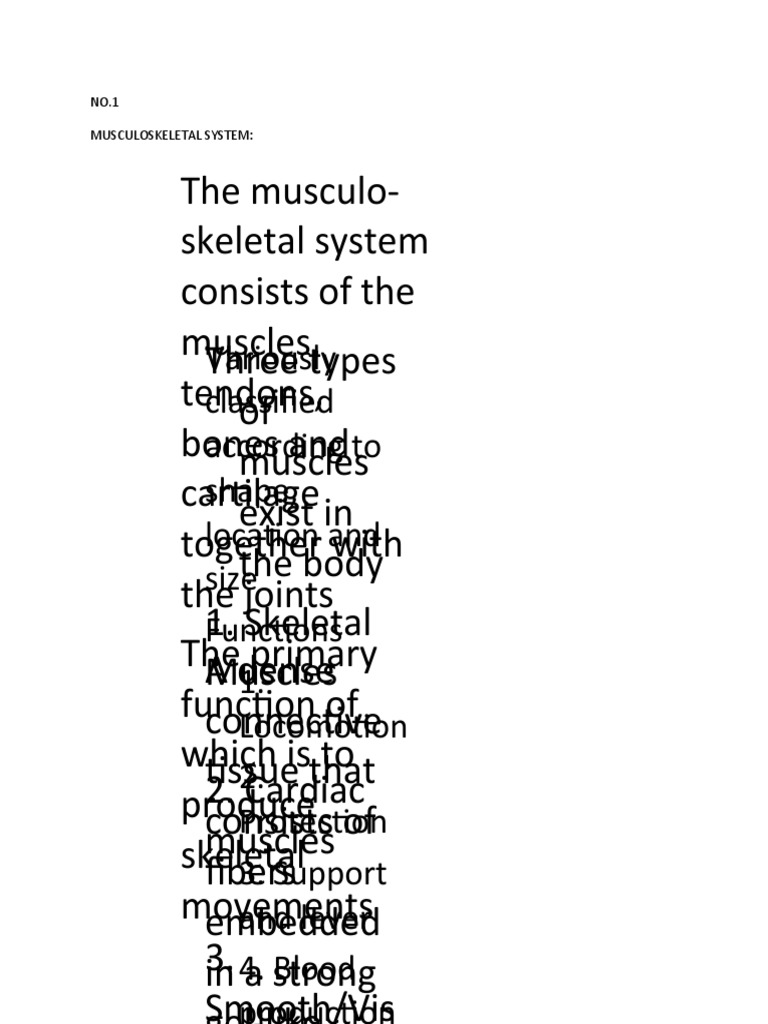 Overview of the Musculoskeletal System | PDF