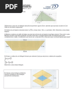 Area e Perimetro- 9 Ano19102011193329
