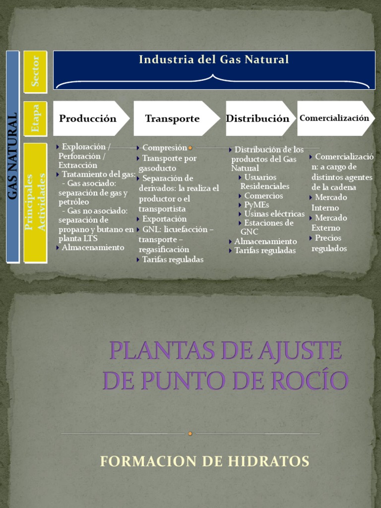 Procesos y Desafíos en la Industria del Gas | PDF | Gas natural | Propano