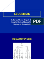 (24)  Leucemias 2004