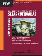 98274948-setas-cutilvadas.pdf