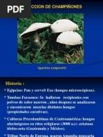 167021523-CHAMPINONES.pdf