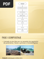 236007196-Champinones.pdf