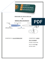 Thermal Spray Technology Term Paper