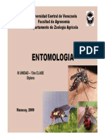 Entomologia 2009 - III Unidad - 13ra Clase Diptera (1)