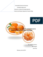 Informe 1 de Plagas Mandarina